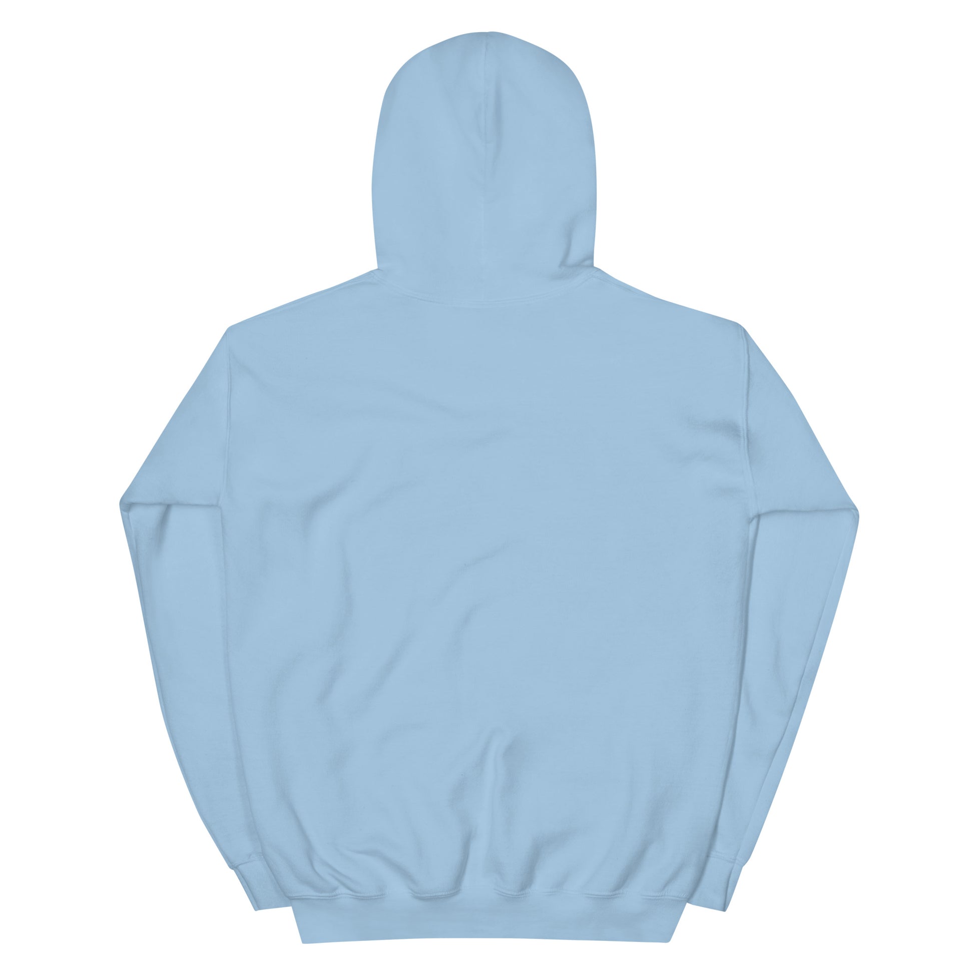 BRIXHAM BM Fishing Unisex Hoodie back light blue