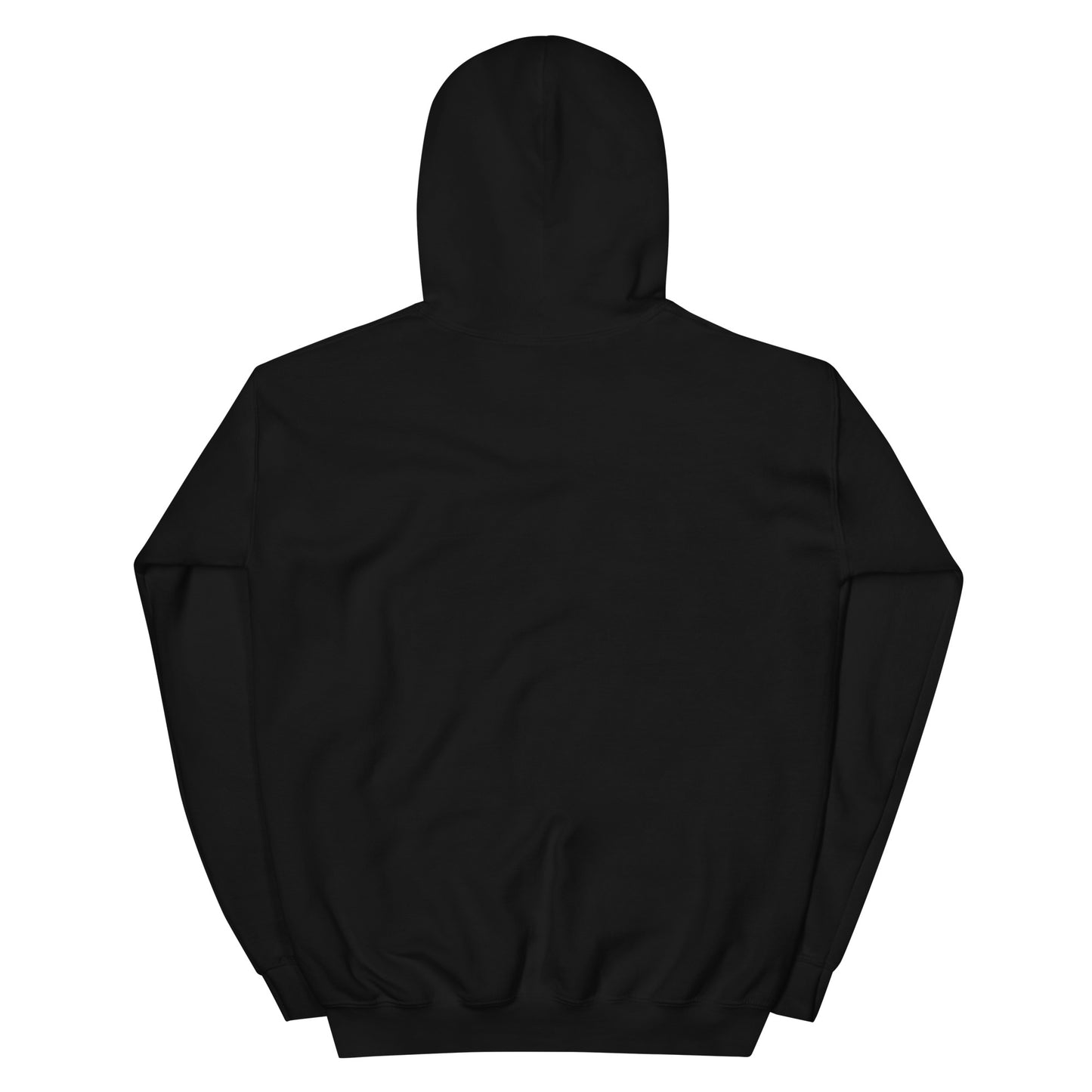 BRIXHAM BM Fishing Unisex Hoodie back black