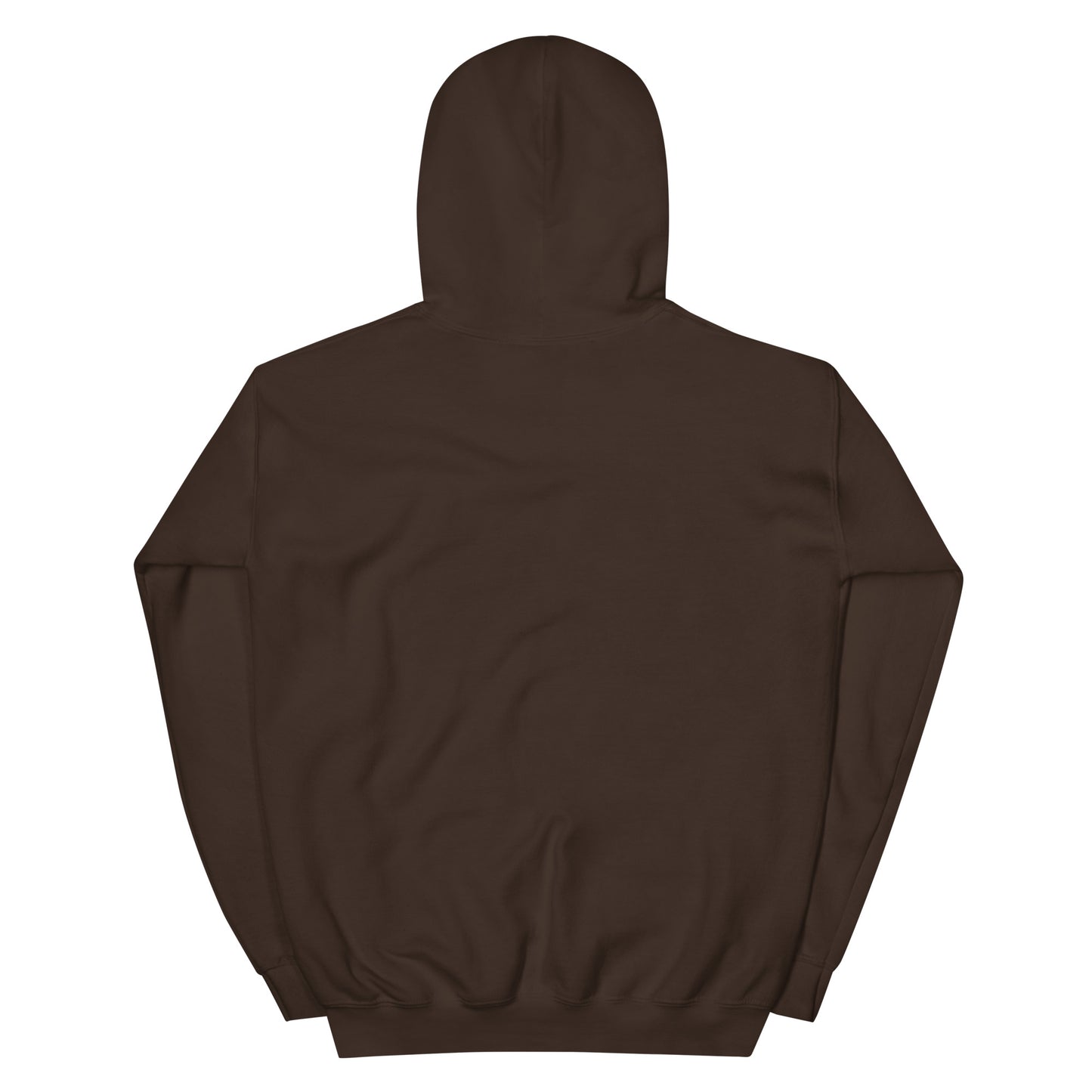 BRIXHAM BM Lighthouse Unisex Hoodie back dark chocolate