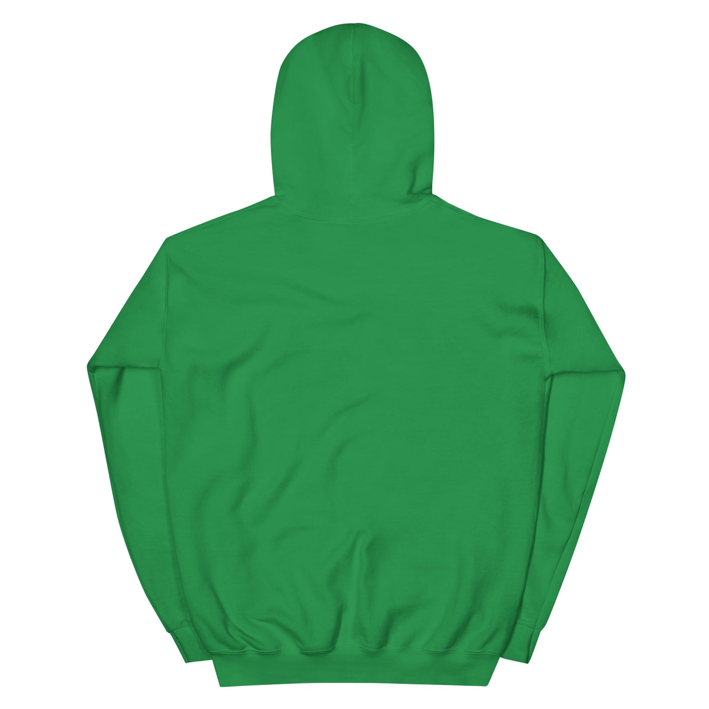 BRIXHAM BM Lighthouse Unisex Hoodie back irish green