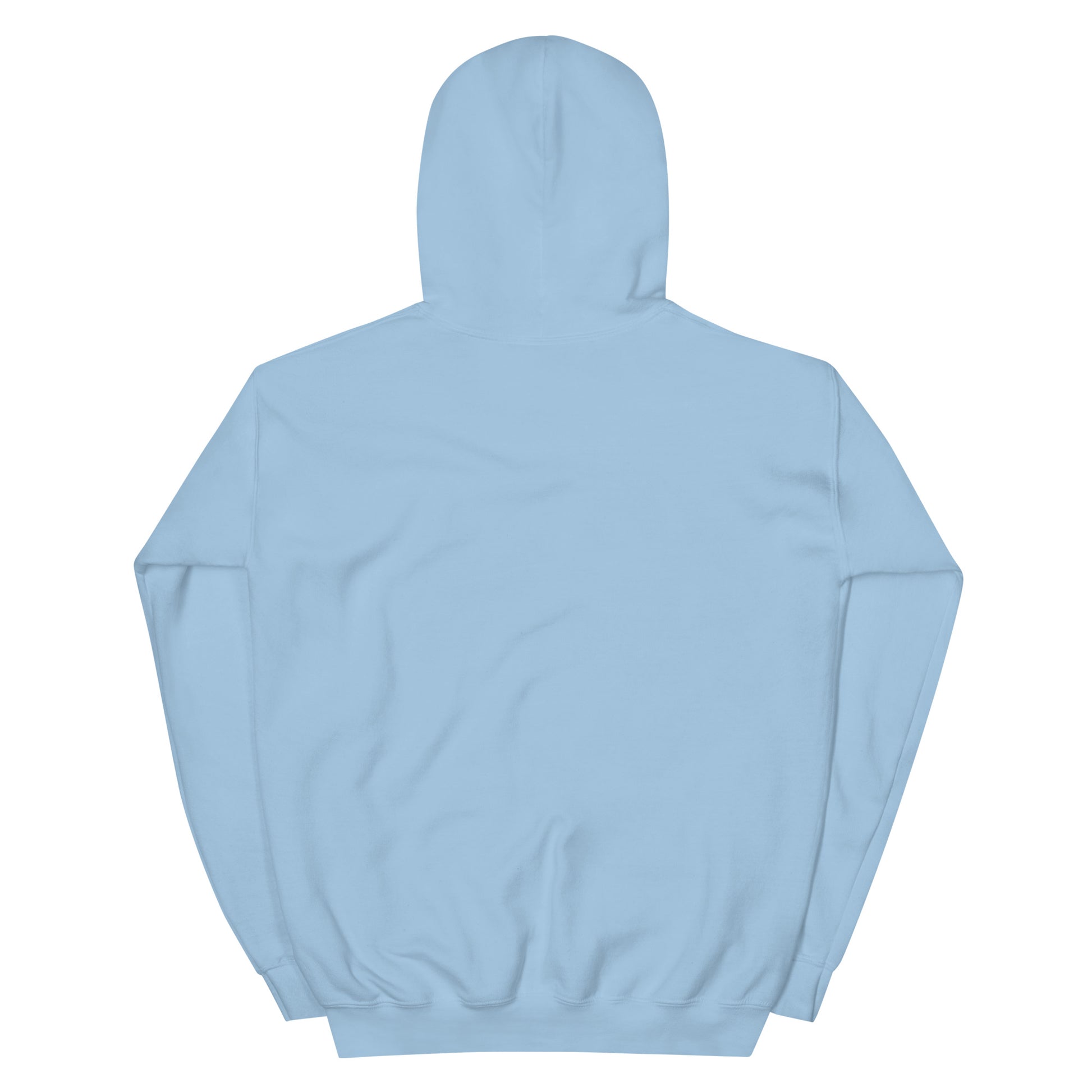 BRIXHAM BM Fishing Unisex Hoodie back light blue