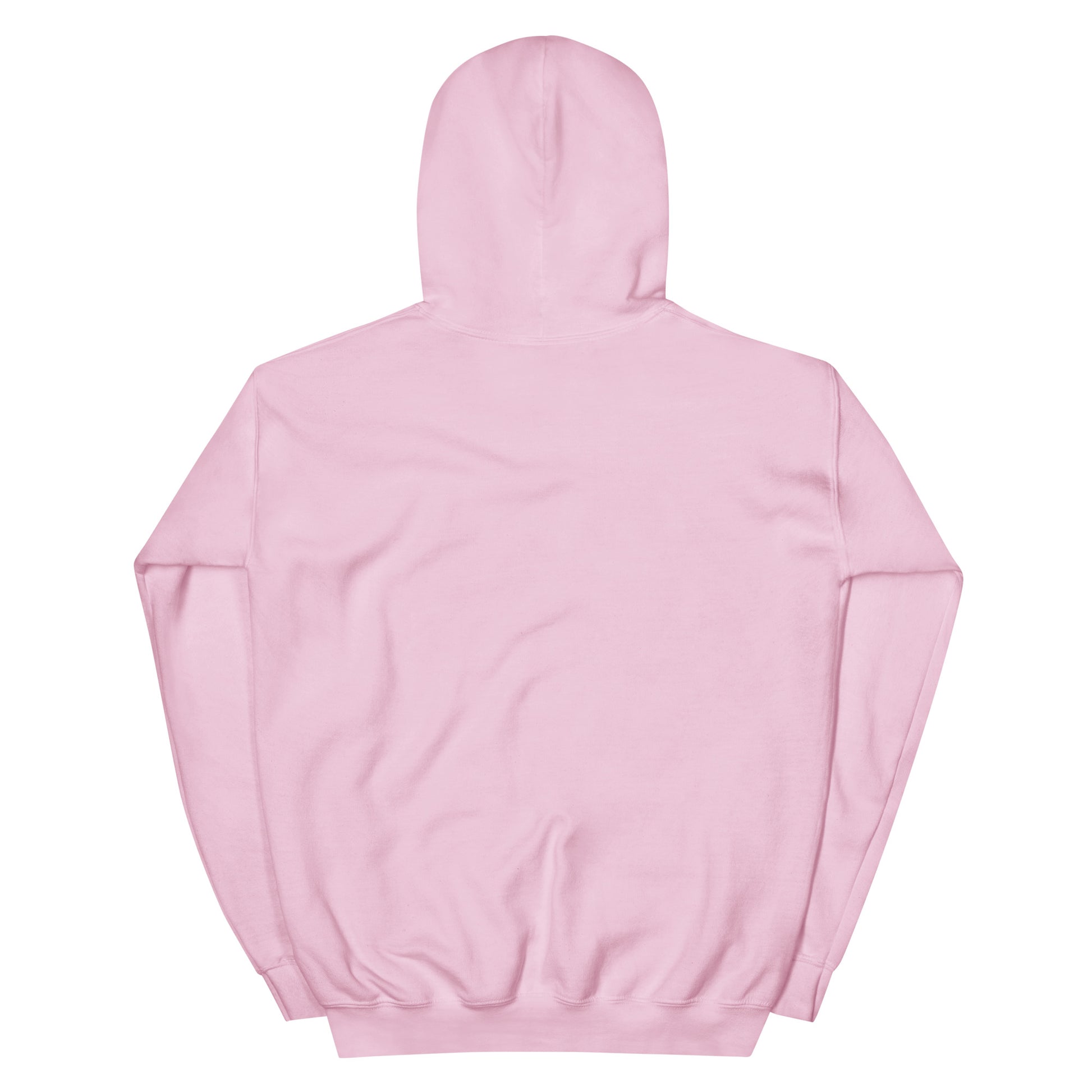 BRIXHAM BM Fishing Unisex Hoodie back pink