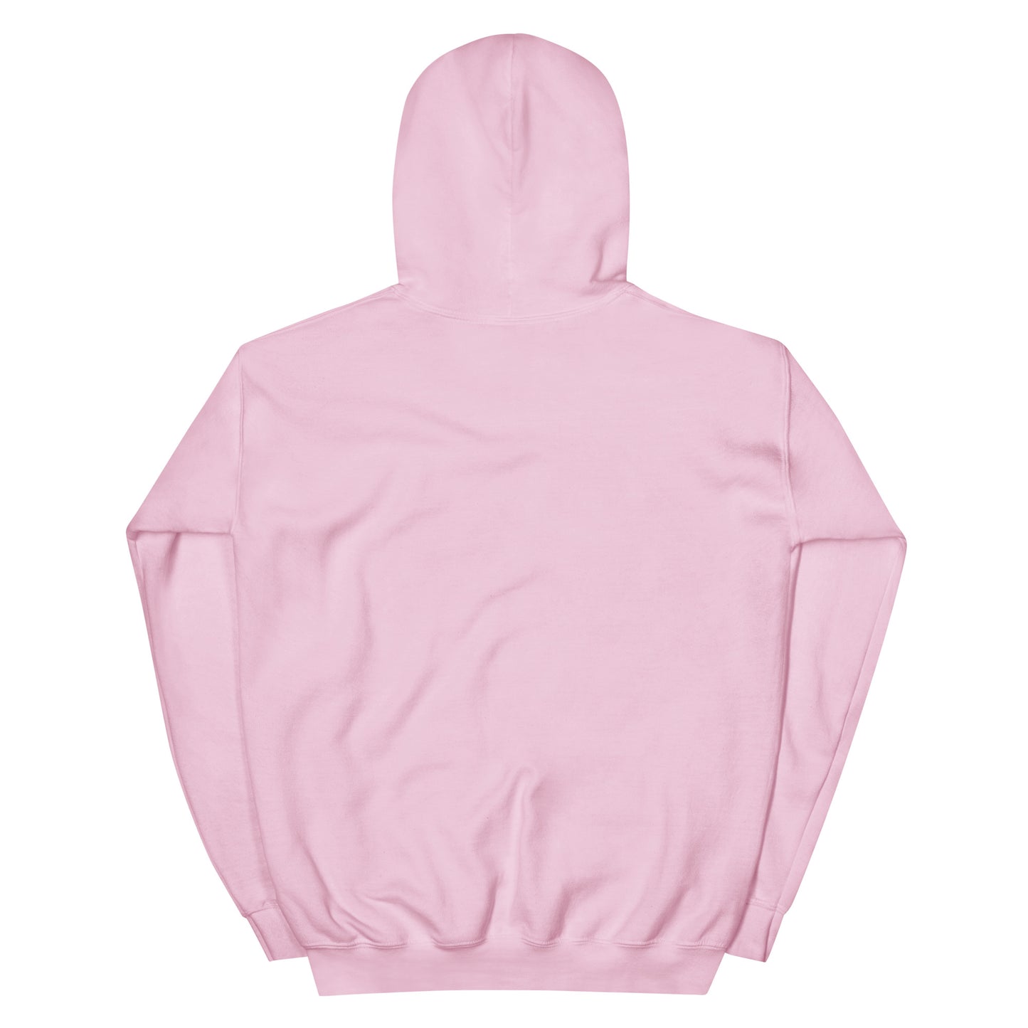 BRIXHAM BM Lighthouse Unisex Hoodie back pink