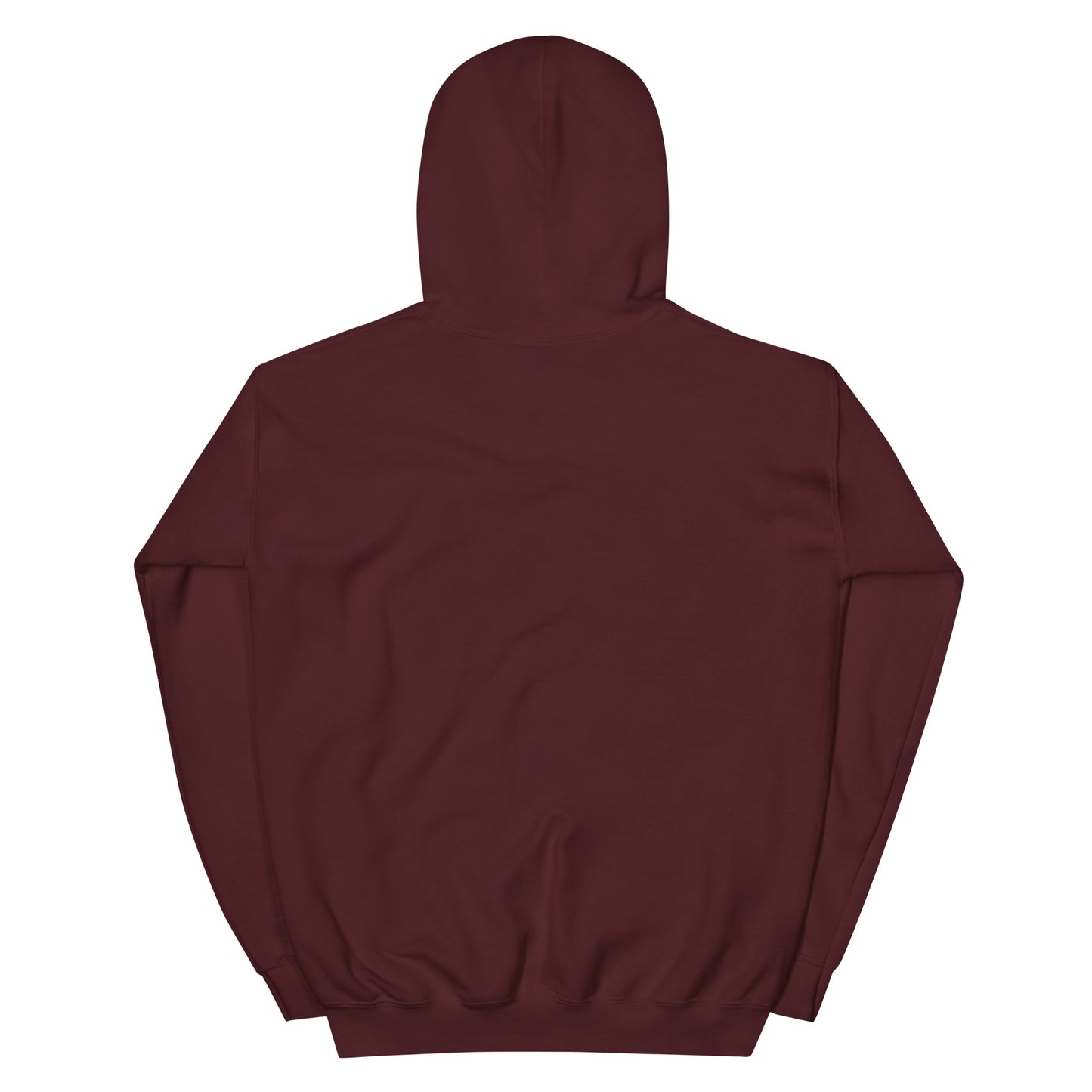 BRIXHAM-BM-3-fish-unisex-hoodie-back-maroon