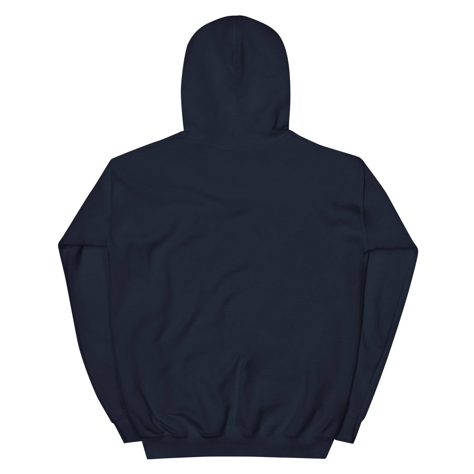 BRIXHAM BM Lighthouse Unisex Hoodie back navy