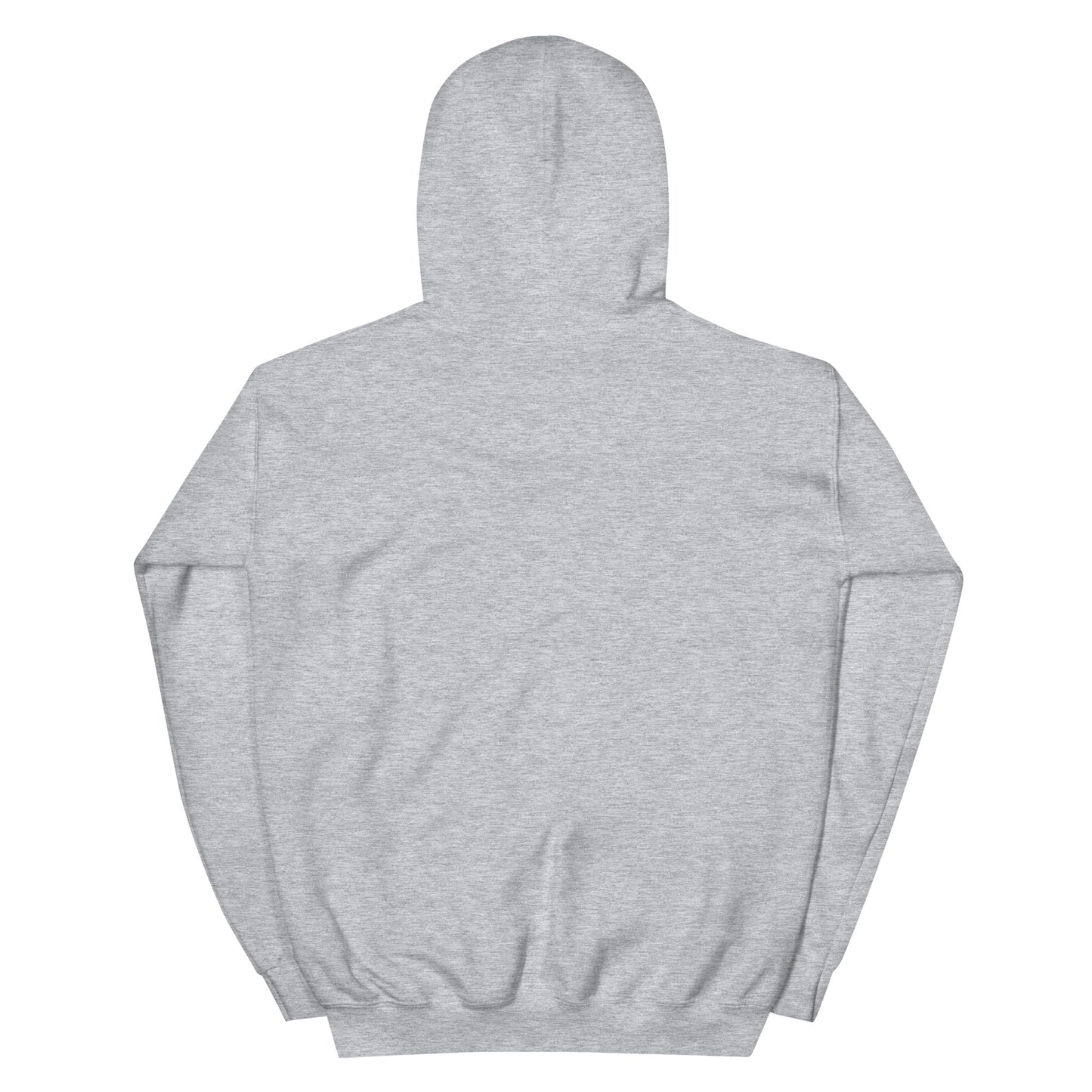 BRIXHAM BM Fishing Unisex Hoodie back grey