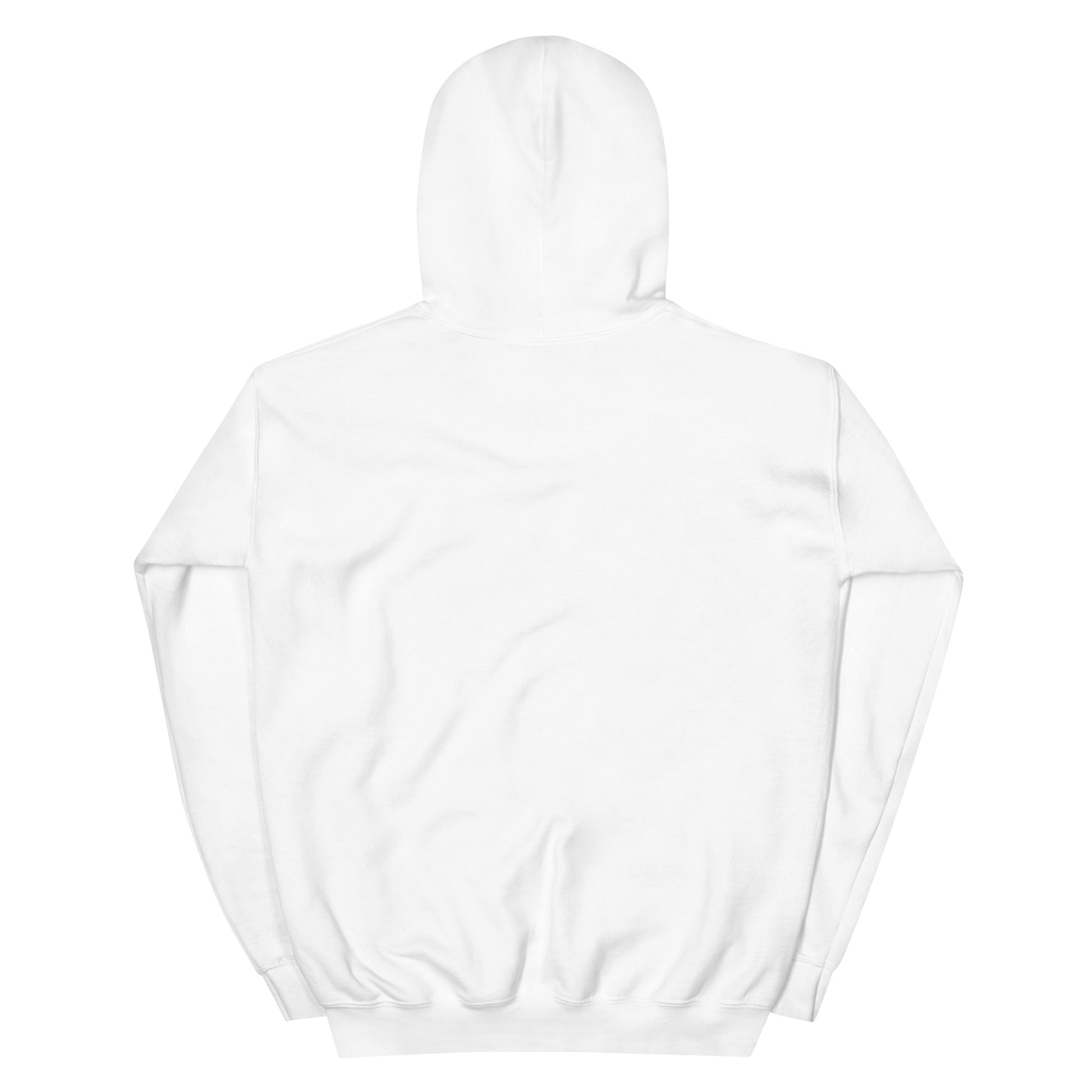 BRIXHAM BM Fishing Unisex Hoodie back white